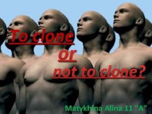 To clone or not to clone Matykhina Alina