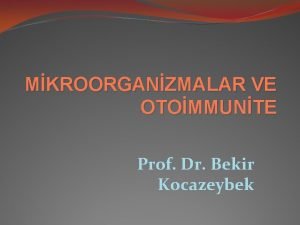 Prof dr bekir kocazeybek