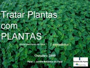 Tratar Plantas com PLANTAS Andr Henriques da Silva