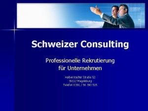 Schweizer consulting magdeburg