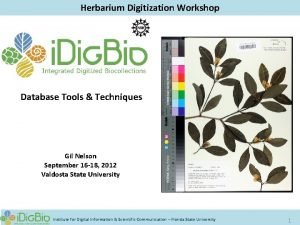 Herbarium Digitization Workshop Database Tools Techniques Gil Nelson