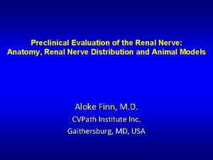 Renal Renal