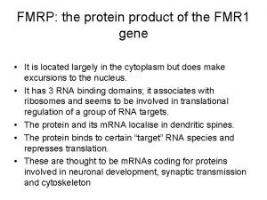 FMRP the protein product of the FMR 1