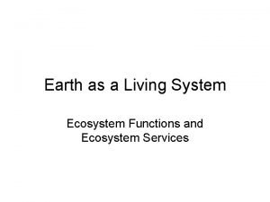 Function of ecosystem