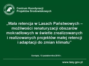 Maa retencja w Lasach Pastwowych moliwoci renaturyzacji obszarw