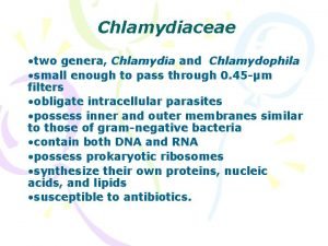 Chlamydiaceae two genera Chlamydia and Chlamydophila small enough