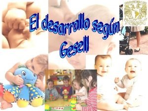 Frases de arnold gesell