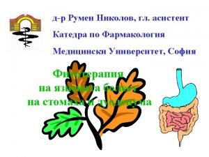 Maslinov list Maslinov list
