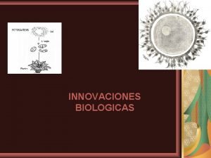 Innovaciones biológicas orden de aparición