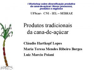 I Workshop sobre diversificao produtiva da canadeacar Novos