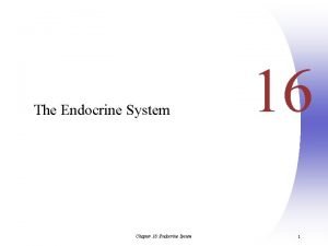 The Endocrine System Chapter 16 Endocrine System 16