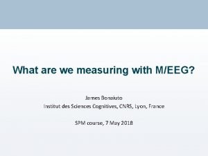 What are we measuring with MEEG James Bonaiuto