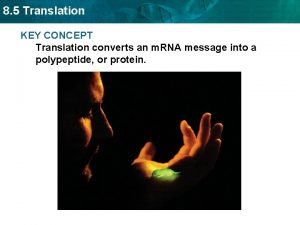 8 5 Translation KEY CONCEPT Translation converts an