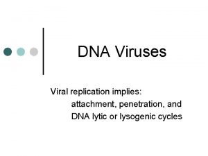 DNA Viruses Viral replication implies attachment penetration and