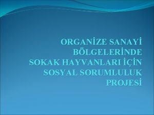 ORGANZE SANAY BLGELERNDE SOKAK HAYVANLARI N SOSYAL SORUMLULUK