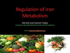 Regulation of Iron Metabolism Harnish and Hariom Yadav