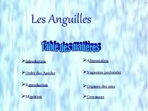 Anguille alimentation