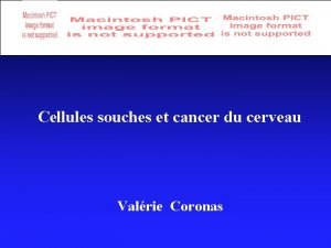 Cellules souches et cancer du cerveau Valrie Coronas