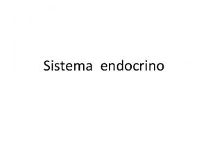 Sistema endocrino Qu es Es un sistema formado