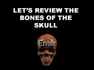How many bones