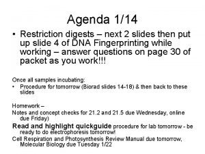 Agenda 114 Restriction digests next 2 slides then