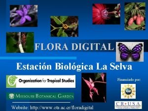 FLORA DIGITAL Estacin Biolgica La Selva Financiado por
