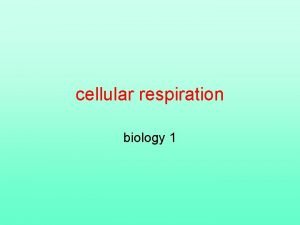 cellular respiration biology 1 Cellular respiration and fermentation