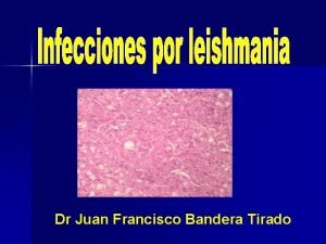 Dr Juan Francisco Bandera Tirado Etiologa Familia Trypanosomatidae