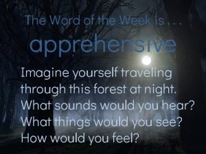 Apprehensive synonyms