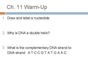 Ch 11 WarmUp 1 Draw and label a