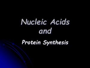 Nucleic Acids and Protein Synthesis Nucleic Acids l