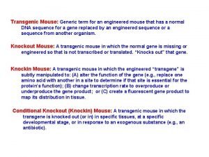 Transgenic Mouse Generic term for an engineered mouse