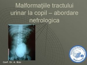 Malformaiile tractului urinar la copil abordare nefrologica Conf