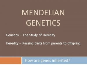 MENDELIAN GENETICS Genetics The Study of Heredity Passing