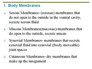 I Body Membranes A B C D Serous