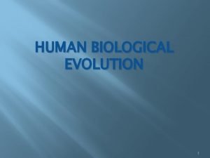 HUMAN BIOLOGICAL EVOLUTION 1 Introduction Many different humanlike