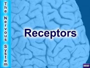 The Nature of Receptors are transducers Receptors transduce