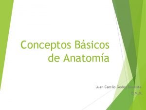 Conceptos Bsicos de Anatoma Juan Camilo Godoy Bautista