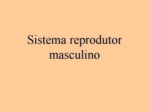 Sistema reprodutor masculino O sistema reprodutor masculino composto