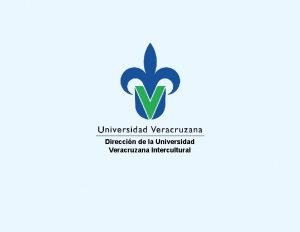 Direccin de la Universidad Veracruzana Intercultural Opciones laborales