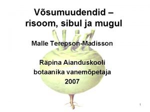 Vsumuudendid risoom sibul ja mugul Malle TerepsonMadisson Rpina
