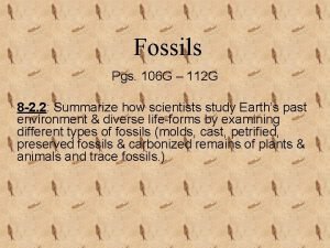 Fossil cast