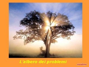 Lalbero dei problemi Un falegname che avevo chiamato