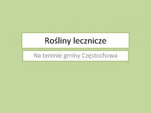 Roliny lecznicze Na terenie gminy Czstochowa Roliny byy