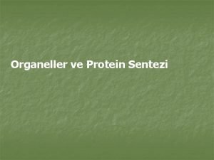Organeller ve Protein Sentezi Hcreii Zar Sistemi ve