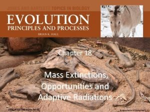 Chapter 18 Mass Extinctions Opportunities and Adaptive Radiations