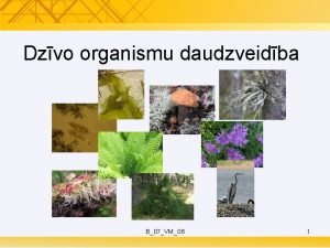 Dzīvo organismu daudzveidība