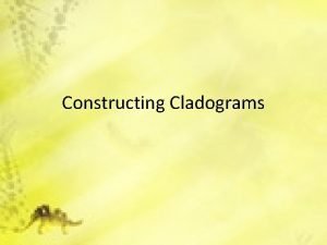 Constructing Cladograms 3 29 15 Do Now Constructing
