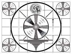 EVERY DSTAR RADIO HAS A SERIAL DATA PORT