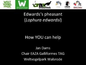 Edwardss pheasant Lophura edwardsi How YOU can help